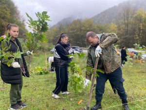 В Тарском высадили 1300 красных дубов