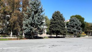 В Моздоке благоустроили пространство рядом с первой школой