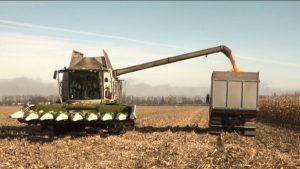 Æрæфы районы сæ тæмæны бацыдысты нартхор æфснайæн куыстытæ