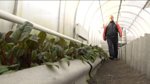 Социалон контракты программæ фадат дæтты цард хуыздæрырдæм аивынæн