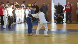 Цыколайы физкультурон-дзæбæхгæнæн комплекс куы фæзынд, уæдæй дзы бирæ мадзæлттæ арæзт æрцыд спорты алы хуызтæй