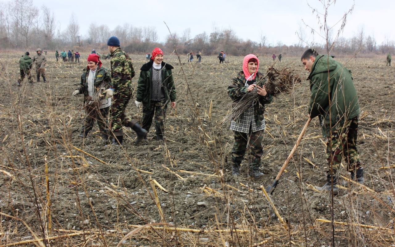 В Северной Осетии восстановлены леса на площади 90 га