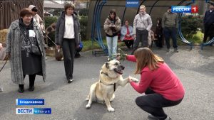 Первый республиканский конкурс «Собачье сердце» прошел во Владикавказе