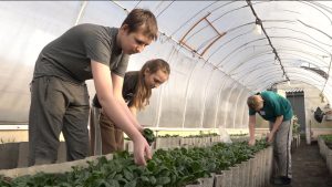 Более 200 человек заключили соцконтракты с начала года в Правобережном районе