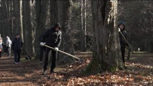 Дзæуджыхъæуы дендрарийы уыд дзыллон зиу