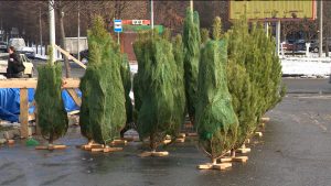 Дзæуджыхъæуы байгом сты Ног азы армукъатæ