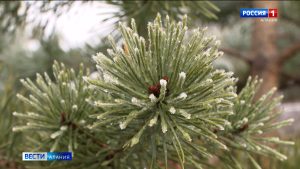 В республике усилили патрули в селах, граничащих с заповедными зонами Северной Осетии