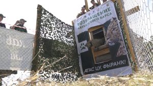 Выпущенная в горах Северной Осетии самка леопарда Хоста адаптируется в дикой природе Северного Кавказа, а для зимовки выбрала КБР