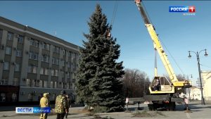 Главную новогоднюю ель республики установили на площади Свободы