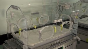 В родильном доме РКБ – масштабное техническое обновление