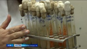 Хæххон паддзахадон аграрон университеты биоресурсон центрæн ныр ис федералон нысаниуæг