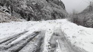 Дорожные службы Южной Осетии приступили к расчистке Транскама