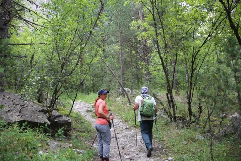 В 2025 году заповедные территории Северной Осетии посетило более 36000 человек