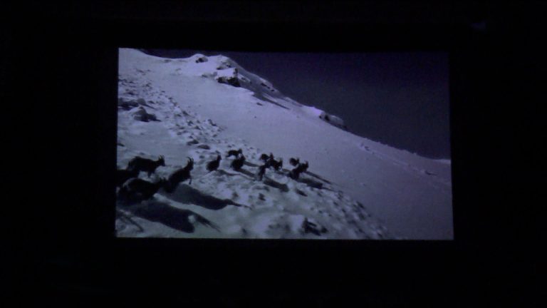 В Доме кино прошел открытый премьерный показ фильма «Охотник»