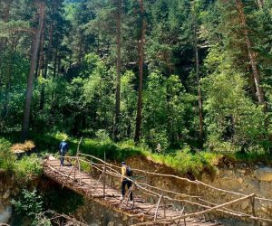 В Дигорском районе весной 2026 года высадят более 16 тысяч деревьев