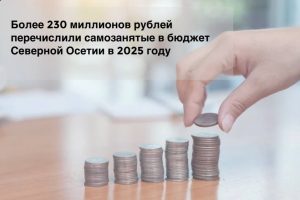 Более 230 миллионов рублей перечислили самозанятые в бюджет Северной Осетии в 2025 году