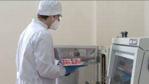 В СОГУ открылась лаборатория клеточных технологий исследования