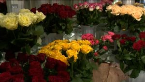 Дзæуджыхъæуы, сылгоймæгты æппæтадæмон боны агъоммæ байгом уыдзæн дидинджыты 7 армукъайы