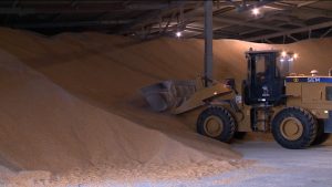 Более 100 тысяч тонн зерна экспортировали из Северной Осетии в прошлом году