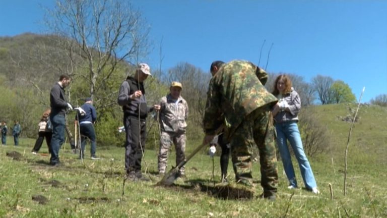 Седьмой сезон международной акции «Сад памяти» стартует 7 апреля в Эльхотово