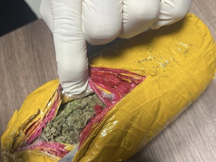 Контрабанду крупной партии марихуаны пресекли на МАПП «Верхний Ларс»