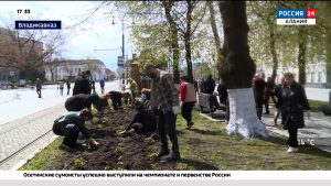 На проспекте Мира прошел массовый субботник