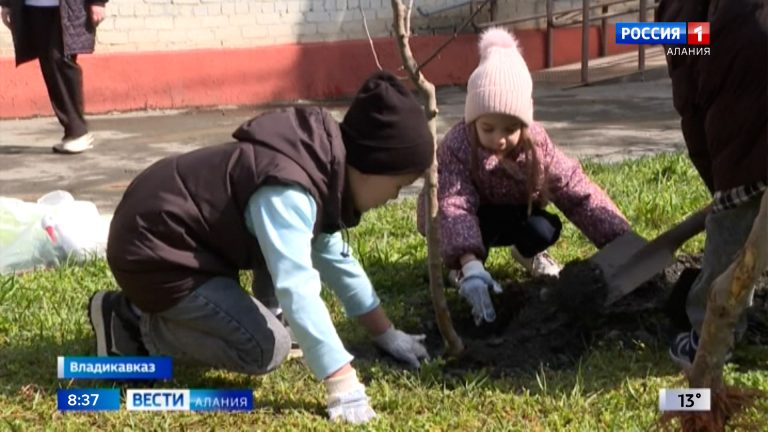 Воспитанники детского сада «Солнышко» высадили саженцы яблони