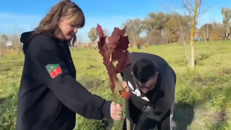 В Черниговском районе Запорожской области прижились саженцы, подаренные в прошлом году Северной Осетией