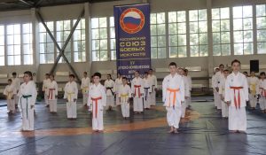Во дворце спорта «Манеж» пройдут XVII Открытые детско-юношеские Игры боевых искусств