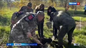 Ивгъуыд аз Запорожьейы облæсты Черниговы муниципалон зылдмæ цы мин талайæ фылдæр арвыстой, уыдонæн се *стай фондз проценты фæхæцыдысты