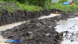 Водоканал решает проблему с подтоплением в садовом товариществе «Дружба»