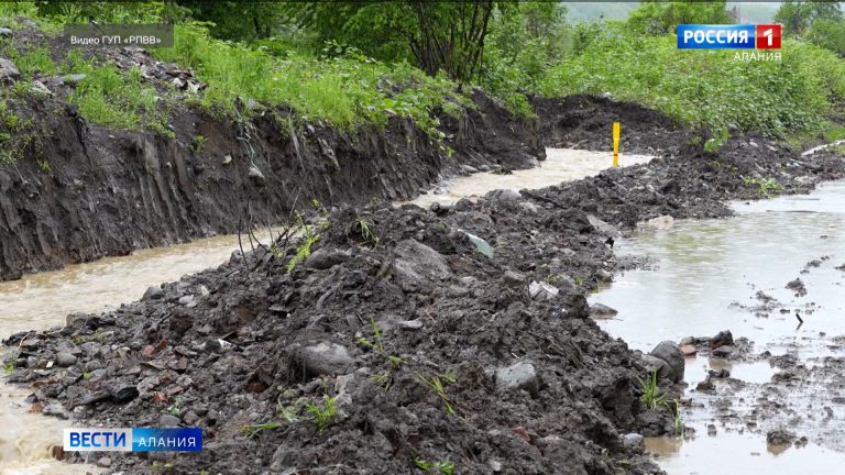 Водоканал решает проблему с подтоплением в садовом товариществе «Дружба»