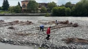 Русло Терека во Владикавказе расчищают от нанесенного течением древесного мусора