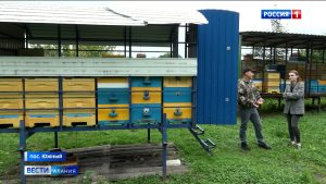 Участник СВО Константин Гергиев воплотил в жизнь давнюю мечту и развивает собственную пасеку
