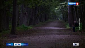 В Дендрарии неровности на дорожках засыпают доломитовым отсевом
