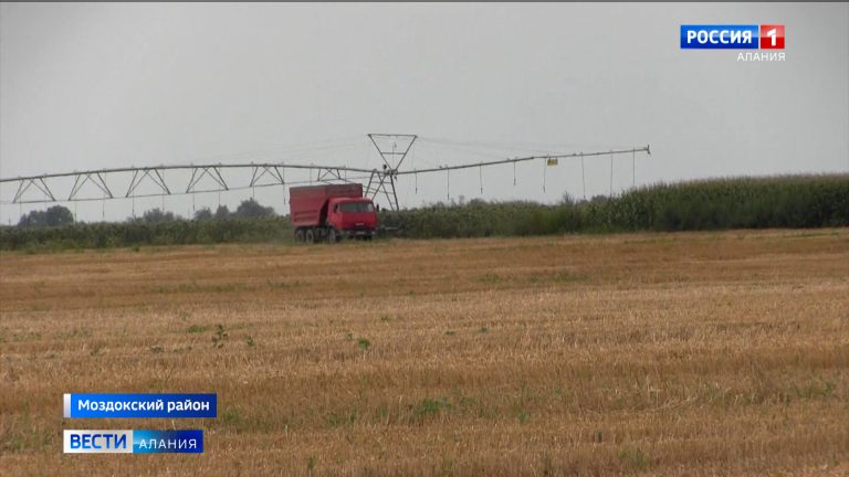В Моздокском районе завершается уборочная страда