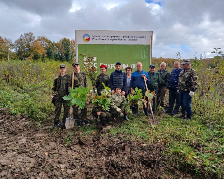 В Северной Осетии стартует акция «Сохраним лес»: этой осенью в республике высадят более двух тысяч деревьев