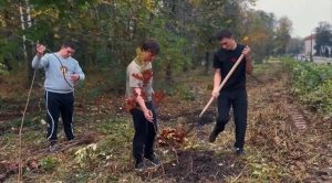В Комсомольском парке Владикавказа посадили 100 дубов и кленов